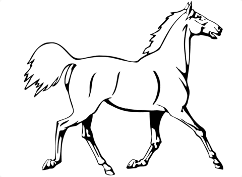 Horse Trotting Coloring Page